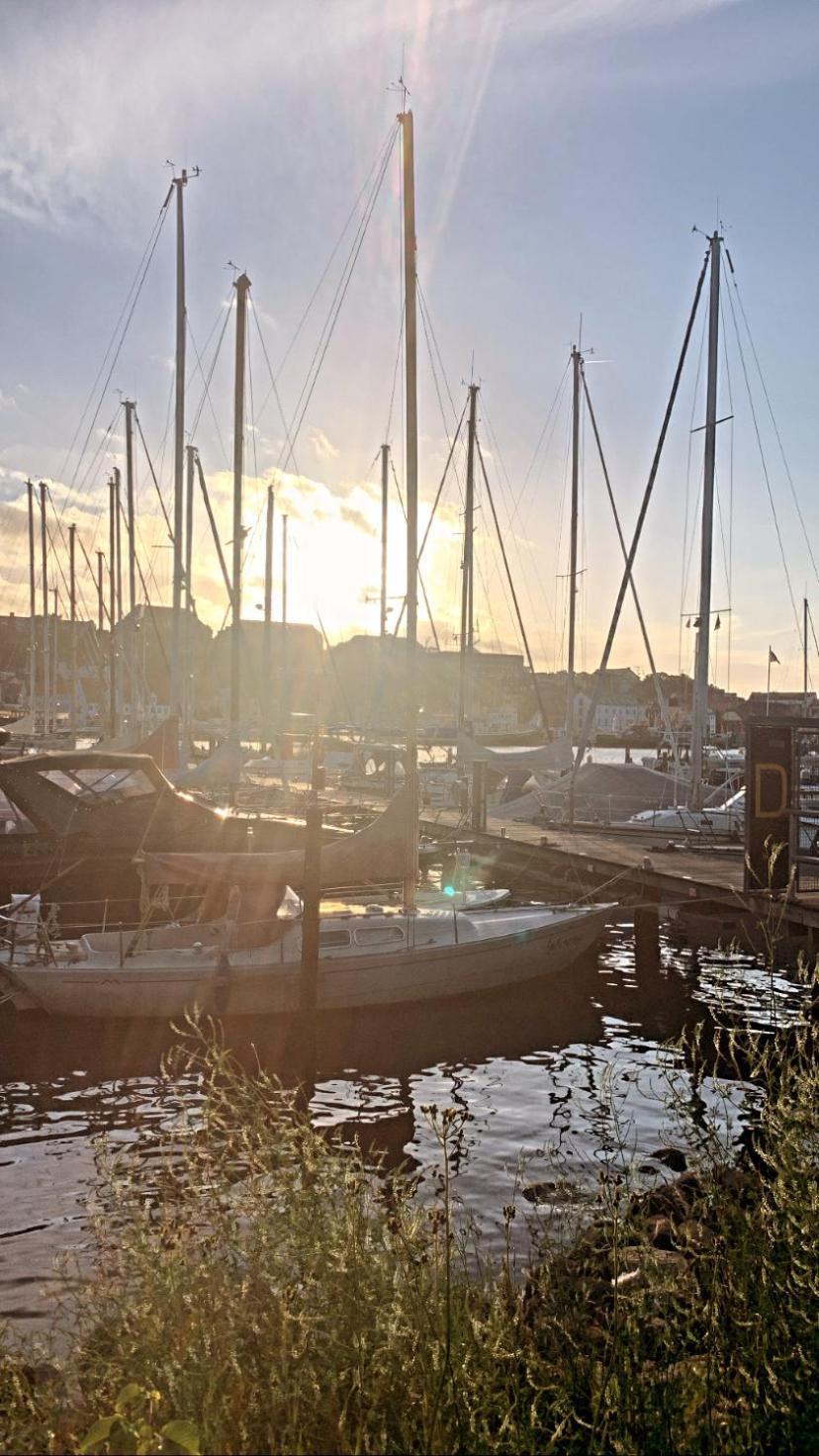 Hafen Deern * Flensburg